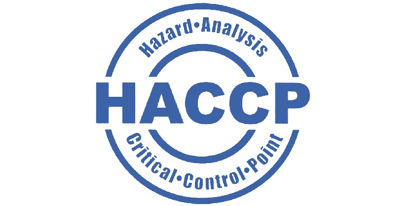 ISO Quality Services